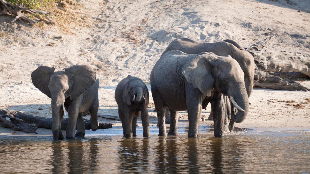 Chobe Marina Lodge Kasane Εξωτερικό φωτογραφία